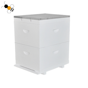 Tổ Ong Sơn Úc Cho Hộp Tổ Ong - Product Image 3