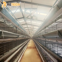 Conception de bâtiment d'élevage avicole pour 30 000 poulets, type H, 4 niveaux, équipement de cages automatiques pour poules pondeuses au Nigeria