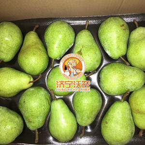 Peras Dulces Frescas para Exportación, Variedades Ya / Crown / <span class=keywords><strong>Anjou</strong></span> Disponibles, Suministro al por Mayor para Minoristas e Industria Alimentaria - Product Image 6