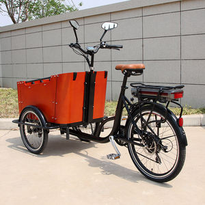 トロリー貨物スウェーデン電動カーゴバイクオランダ3輪ファミリーカーゴバイクBakfietトレーラーEカーゴバイク - Product Image 2