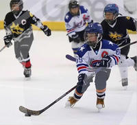 Panneaux de glace synthétique autolubrifiants en PEHD pour patinage, tir et glisse sur le hockey – Approvisionnement direct usine