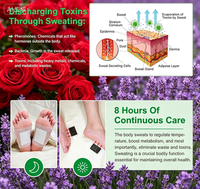 Autocollants détoxifiants aromatiques à l'huile de rose et au charbon de bambou pour les pieds, améliorent la circulation pour les femmes, relaxation, SPA à domicile, meilleur sommeil