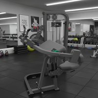 Machine d'entraînement musculaire de haute qualité pour salle de sport commerciale, machine d'entraînement de force linéaire, machine double pour biceps et triceps