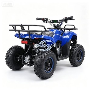 Mini Cuatrimoto Eléctrica para Niños, con Cuatro Ruedas, Impulsada por un Motor de 36V 500W - Product Image 1
