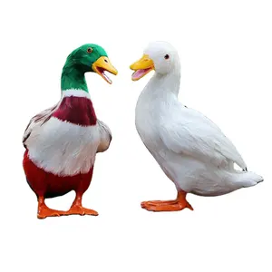 真人大小绿头鸭搞笑鸭仿真毛绒玩具唱歌动物黑鹅鸭玩具人造鸭