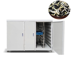 Sprouts Growing Equipment Mung Bean Sprout Machine Price Soya Bean Sprouts Machine - Product Image 2