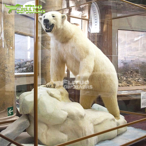 Oso Polar Animatrónico Mecánico de Tamaño Real - Product Image 1