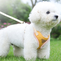 Harnais pour chien avec laisse, accessoires pour animaux de compagnie, harnais et laisse réglables pour chiens de petite taille, pour l'extérieur