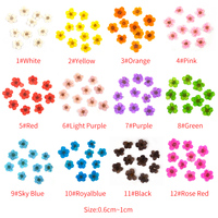 INTODIY vente en gros, mélange de feuilles séchées, plantes, fleurs sèches, Nail Art pour résine, artisanat, bijoux, cadeau, bougie, emballage, décoration