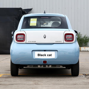 Vente à bas <span class=keywords><strong>prix</strong></span> Mini Ev <span class=keywords><strong>ORA</strong></span> Black <span class=keywords><strong>Cat</strong></span> 5-portes à grande vitesse 4 places 0km Mini voiture électrique d'occasion pas cher - Product Image 6