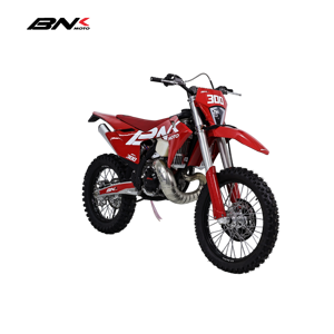 Moto tout-terrain 300cc 2 temps à essence, 6 vitesses, double démarrage, 80 km/h, motocross enduro, chaîne, <span class=keywords><strong>carburateur</strong></span> - Product Image 4