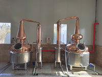 Distillateur de pot distillé de cuve de brassage en cuivre 300L et machine de distillation d'alcool à vendre-équipement de fermentation