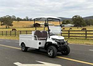 Carrito de Golf Eléctrico BETETEK de 2 Plazas, Diseño Moderno y Compacto, para Campos de Golf y Caminos Privados - Product Image 6