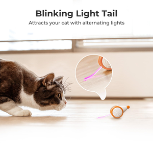 Nouveau jouet interactif électrique pour chat Cheerble, souris amusante en PVC pour chat d'intérieur, écologique, style sport moderne - Product Image 3