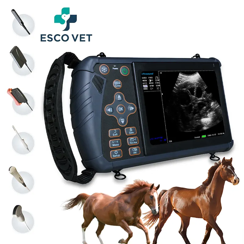 Mesin Ultrasound dokter hewan genggam 5.6 inci, pemindai Ultrasound paku keling hewan sapi portabel harga rendah