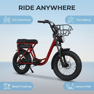 Bicicleta Eléctrica Práctica de 500W con Batería de Litio Extraíble, Compacta y Ligera para Uso Diario Urbano JYOP-550S con 6 Velocidades - Product Image 3