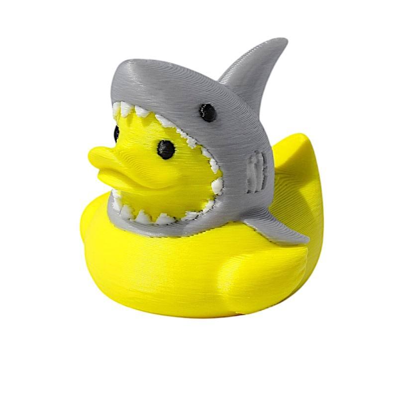Shark Duck