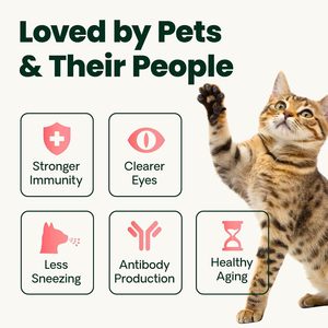 <span class=keywords><strong>Poudre</strong></span> de <span class=keywords><strong>Lysine</strong></span> <span class=keywords><strong>pour</strong></span> la Santé Immunitaire des Chats et des Chatons - Complément de Soutien Nasal Immunitaire, Soulage les Éternuements, le Nez qui Coule et les Yeux Larmes - Product Image 3