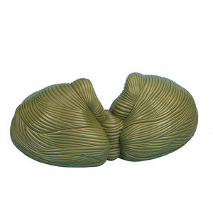 Magnify 4X Modèle anatomique de lobulation cérébelleuse Science médicale Noyau Modèle de structure cérébelleuse humaine - Product Image 2