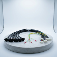 Câble d'extension différentiel pour moto électrique, accessoire informatique, fil de cuivre étamé, conducteur PTFE, fil personnalisé