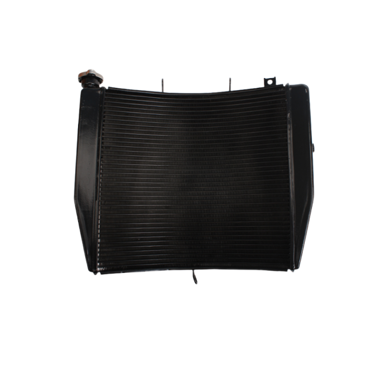 Versión de exportación ZX-10 R 2008-2010