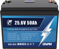 Baterai LiFePO4 12V 24V 12.8V 25.6V 50Ah 100Ah 200Ah 280Ah 300Ah Deep Cycle untuk Karavan dan Kapal Pesiar
