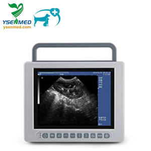 Máquina <span class=keywords><strong>de</strong></span> ultrasonido portátil con escáner <span class=keywords><strong>de</strong></span> ultrasonido 3D veterinario en blanco y negro con modo B Digital completo <span class=keywords><strong>de</strong></span> animales, dispositivo <span class=keywords><strong>de</strong></span> ultrasonido en blanco y negro - Product Image 2