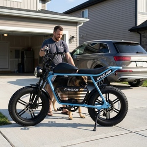 Schwarzes E-Bike mit hydraulischer Bremsunterstützung und 48V Lithium-Akku, Erwachsenen-Elektrofahrrad für Hundeausführungen im Vorort - Product Image 2
