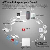 SLS 20A Zigbee Smart Power Socket EU Schuko Plug avec télécommande sans fil Energy Monitor Timing Fonctionne avec Google Home Alexa