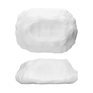 Bottiglia di Vino Biologico Tortuga Blanca 26x18cm 96cl - Product Image 3