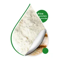 Ergänzung Großhandel Lebensmittel qualität Bulk Vegan Organic hydrolysiert Pure Rice Protein Powder