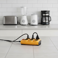 Prise de courant 6-Ac standard européenne avec interrupteur individuel nominale 16A DC Plug Male End IEC Female End pour appareils ménagers