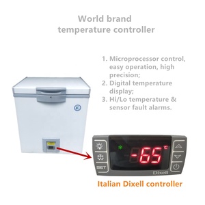 Réfrigérateur super congélateur pour thon, 20 l, 20-60c, 150 l, micro machine à spray, pour restaurant, pour nourriture de mer - Product Image 3
