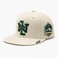 Casquette Snapback Unisexe Structurée à Visière Plate de Haute Qualité, 6 Panneaux, Logo Brodé 3D Personnalisé, Style Hip Hop, Vente en Gros OEM