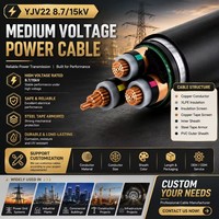 Fabrikpreis YJV22 8,7/15kV 3-Phasen-Stromkabel Dreischichtige Co-Extrusions-XLPE-Isolierung STA Armiertes Kupferkabel Hersteller