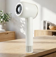 Sèche-cheveux ionique haute vitesse durable avec diffuseur pour usage domestique, excellent rapport qualité-prix