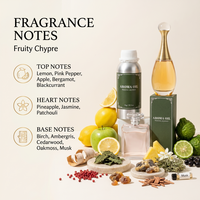 Diffuseur d'arômes d'huiles parfumées de luxe pour hôtels internationaux – Parfum hautement concentré pour la catégorie des produits olfactifs et aromatiques