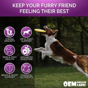 Glukozamin İçeren Köpekler İçin Çiğnenebilir Çoklu Vitamin 15'i 1 Arada Köpek Vitaminleri ve Takviyeleri Evcil Hayvan Eklem Desteği Sağlığı İçin Çoklu Vitamin - Product Image 5