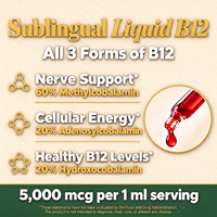 Usine GMP OEM ODM – Gouttes sublinguales de méthylcobalamine (Vitamine B12) – Soutien au métabolisme énergétique – Complément alimentaire liquide de Vitamine B12