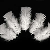 Plume de coquille d'oie naturelle de 2 à 3 pouces de haute qualité à prix compétitif pour la décoration, vente en gros de plumes de premier choix en Chine