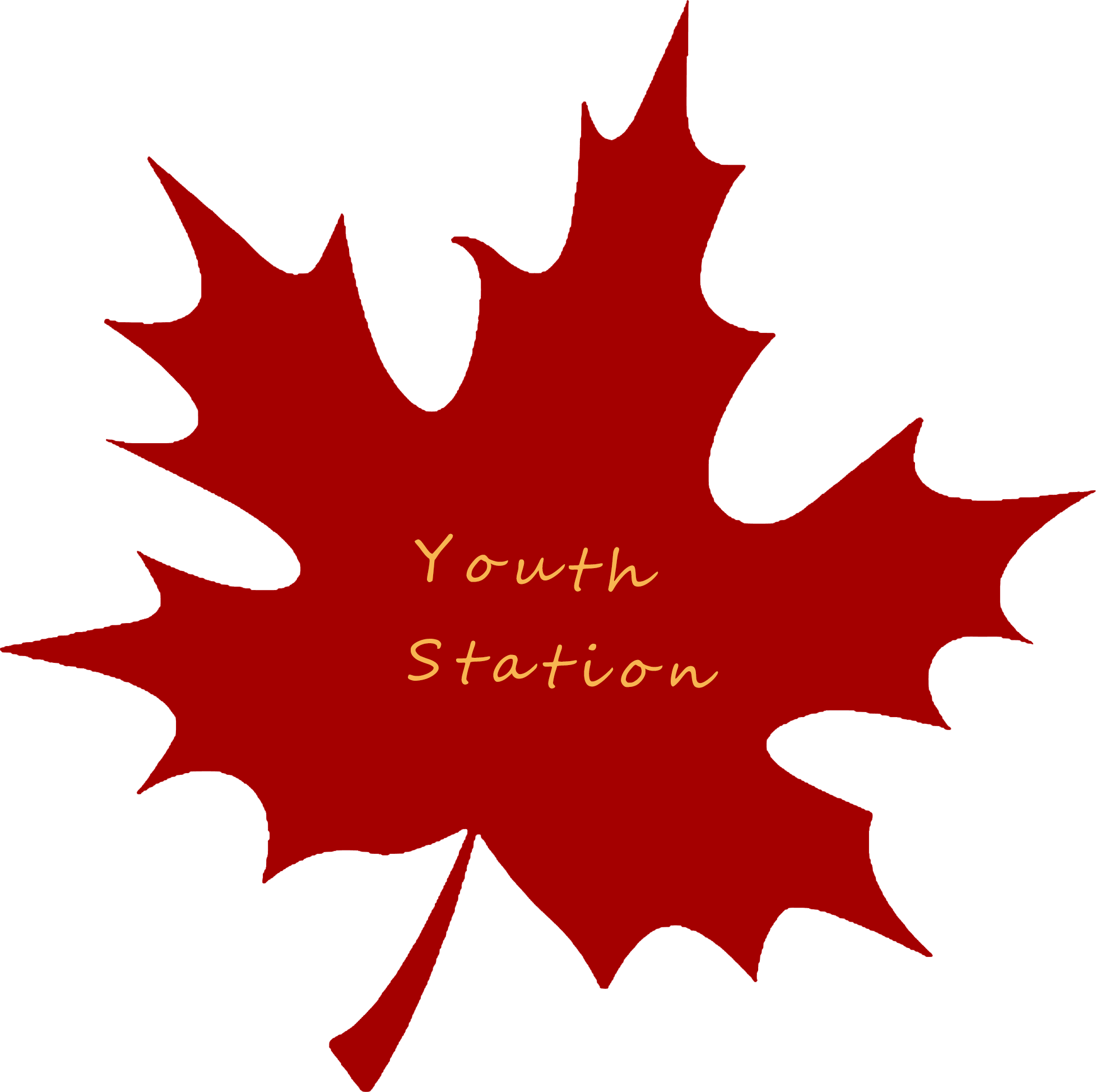 Guangzhou Youth Station Clothing Co., Ltd. logo