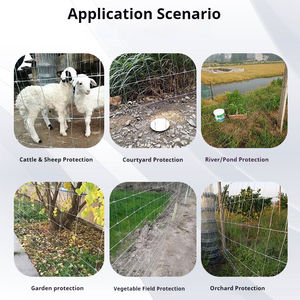 Clôture de champ en grillage métallique 1,2 m de haut pour moutons et bovins, à nœuds fixes, 50 m, 100 m, pour la protection des fermes - Product Image 4