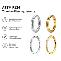 ASTM F136 Titan Klappbarer Zirkon Segment Nasenring Septum Clicker Creolen Daith Lelix Hochzeits-Körperschmuck