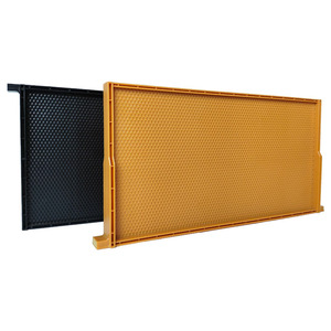 Marco de plástico para abejas con lámina de base para abejas - Product Image 1