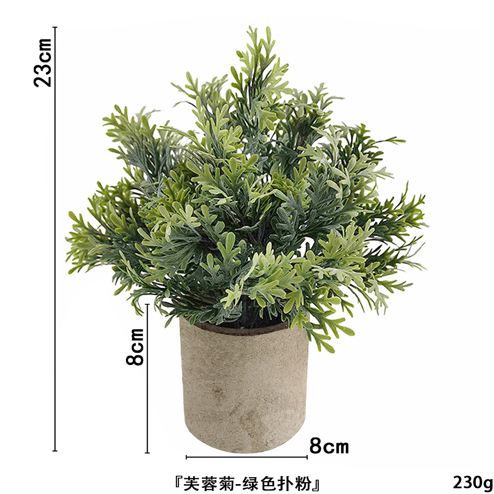 Poudre de chrysanthème d'hibiscus ahe367-067