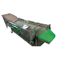 Automatische Appelsortering Aardappeldata Bosbessen Fruit Sorteermachine