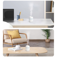 Humidificateur personnel portable à brume fraîche, mignon, mini 220 ml, pour voiture, vente en gros d'usine