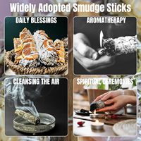 Bundel California White Sage dengan Irisan Jeruk dan Tongkat Kayu Manis untuk Aromaterapi Alami dan Meditasi Udara Segar
