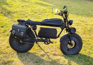 Bicicleta Eléctrica de Montaña Black Warrior 48V con Batería de Litio, Neumáticos Anchos, Motor sin Escobillas en el Buje Trasero, 3 Velocidades y Frenos de Disco - Product Image 2