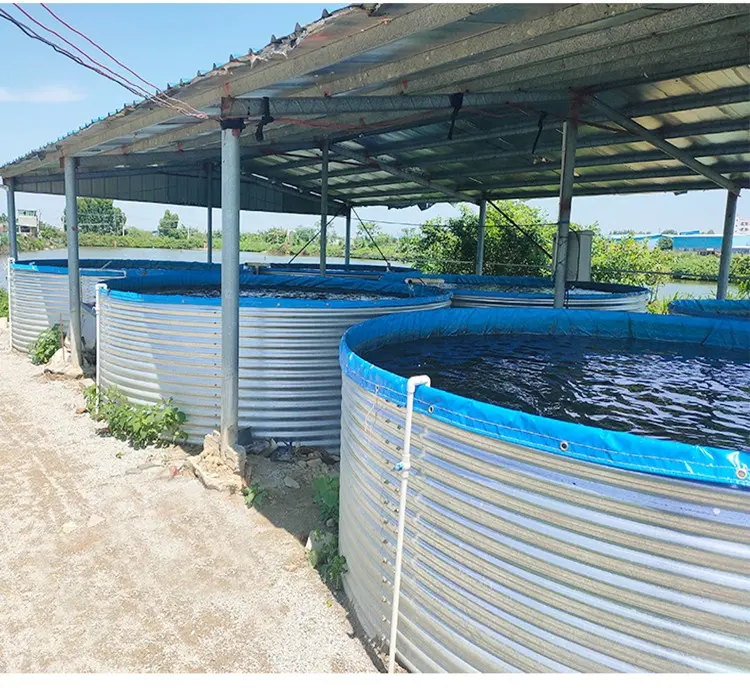 SDM Lieferanten Tank Round Tank Beweglicher neuer verzinkter Blech fischteich